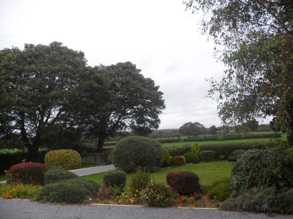 Hillcrest Country Home Adare Exterior foto