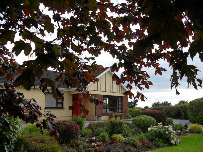 Hillcrest Country Home Adare Exterior foto
