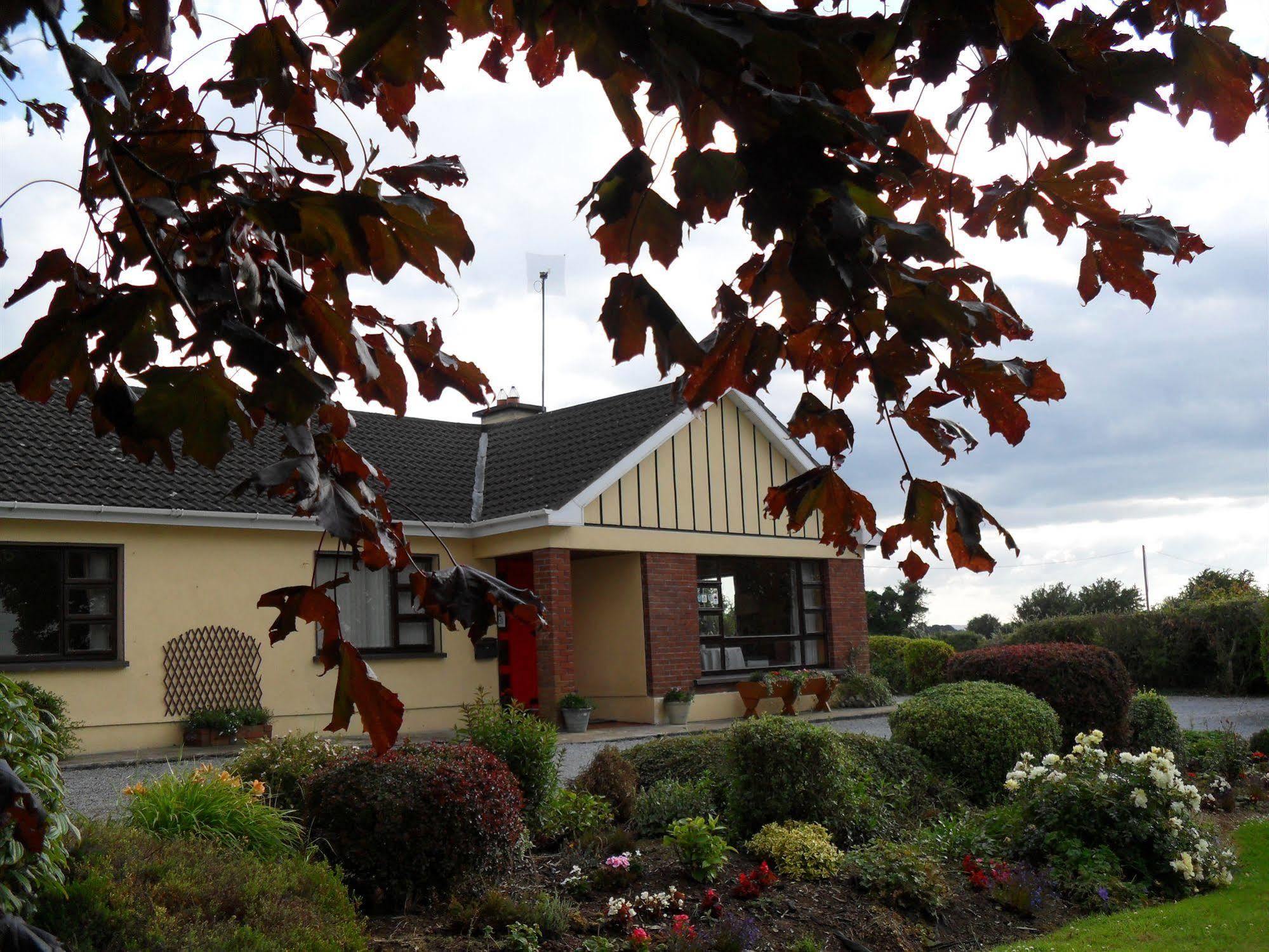 Hillcrest Country Home Adare Exterior foto